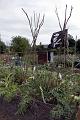 Allotments 7